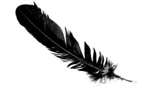 feather romance - Photos of feathers - Luscious blog.jpg